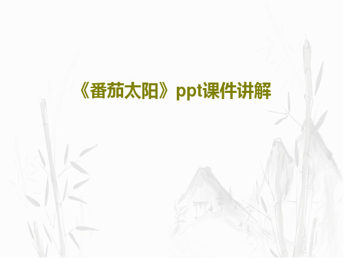 《番茄太阳》ppt课件讲解共34页