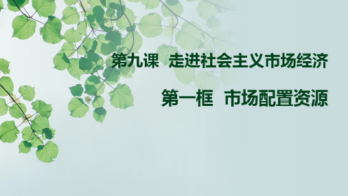 高中政治人教版必修一经济生活9.1市场配置资源课件(共18张PPT)