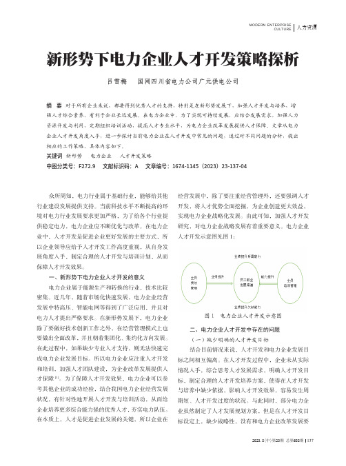 新形势下电力企业人才开发策略探析