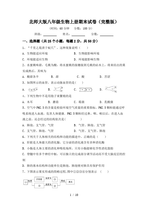 北师大版八年级生物上册期末试卷(完整版)