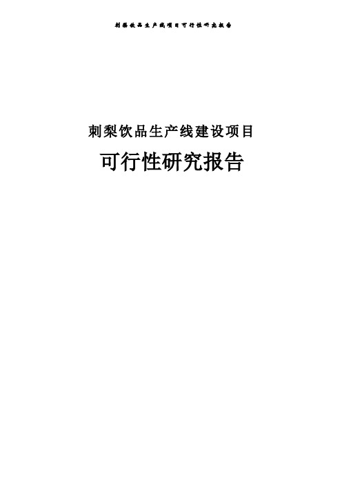 刺梨饮品生产线项目可行性研究报告