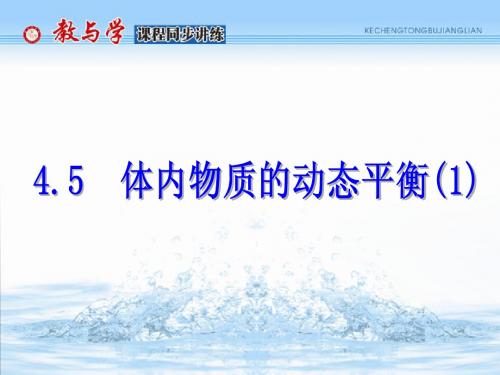 4.5 体内物质的动态平衡(1)