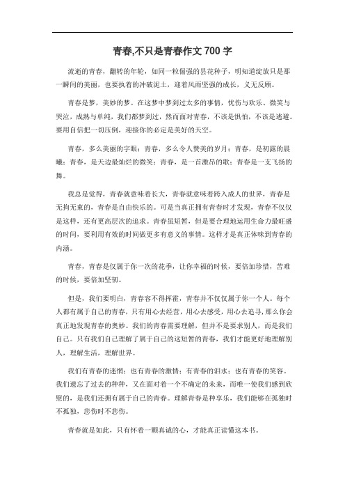 青春,不只是青春作文700字