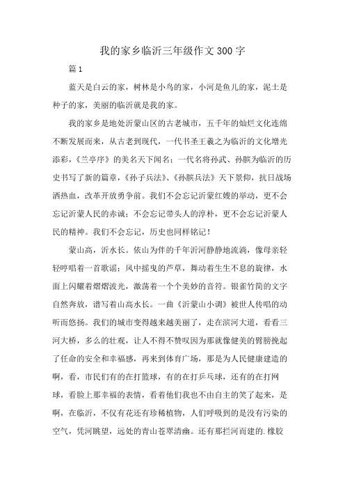 我的家乡临沂三年级作文300字