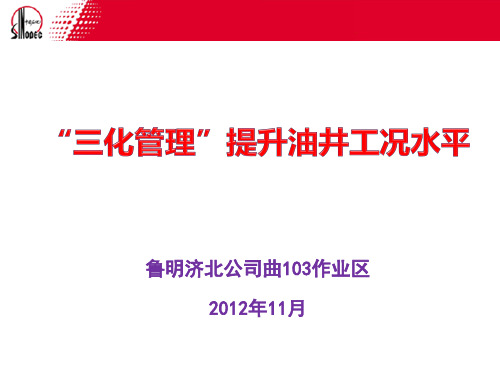 “三化管理”提升油井工况水平ppt课件