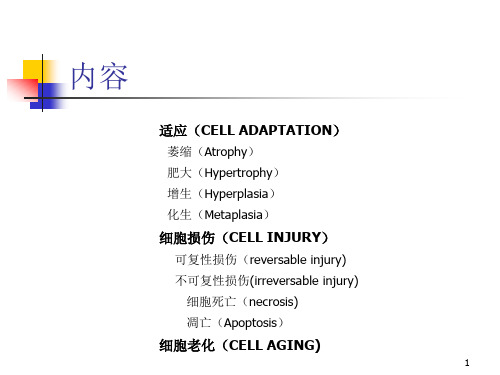 第一章细胞的损伤与适应名师编辑PPT课件