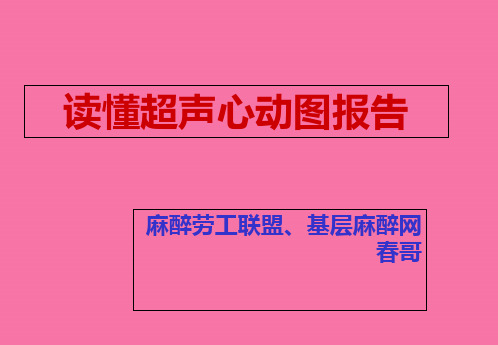 读懂超声心动图报告ppt课件