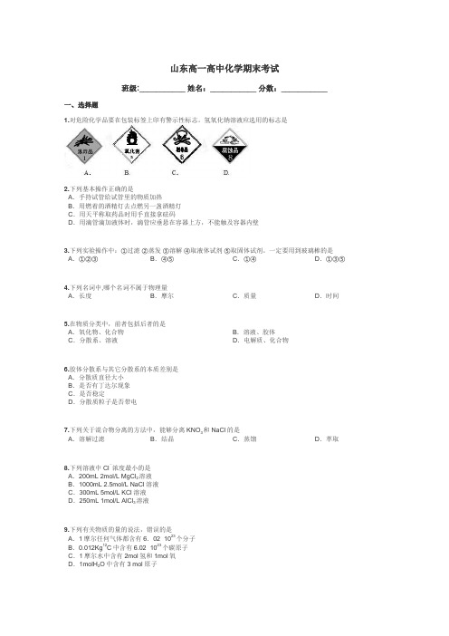 山东高一高中化学期末考试带答案解析
