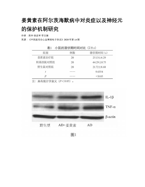 姜黄素在阿尔茨海默病中对炎症以及神经元的保护机制研究