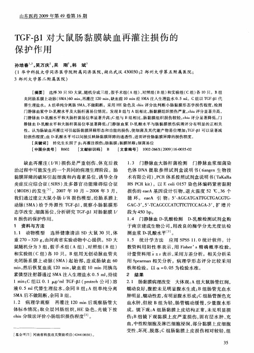 TGF-β1对大鼠肠黏膜缺血再灌注损伤的保护作用