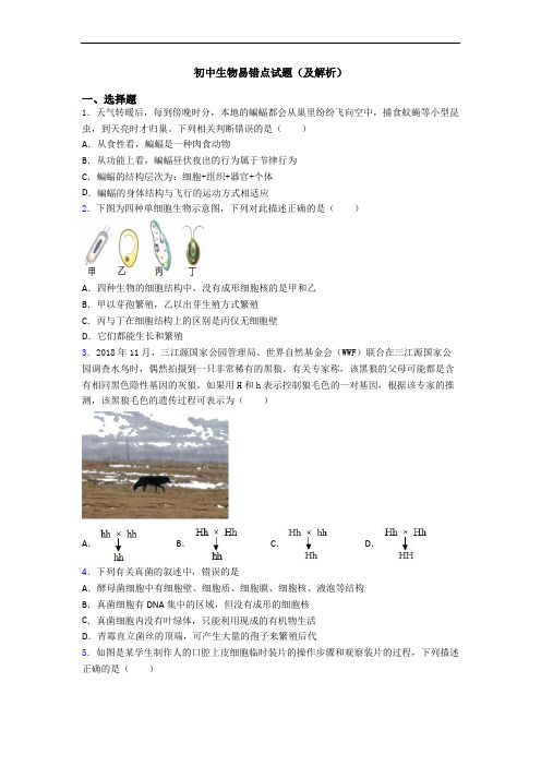 初中生物易错点试题(及解析)