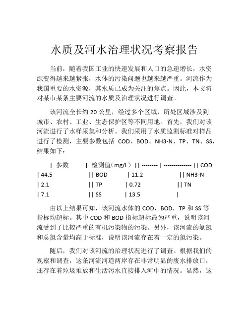 水质及河水治理状况考察报告