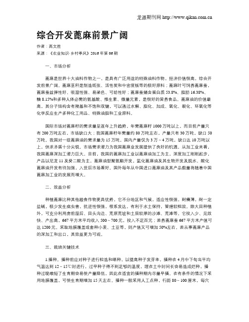 综合开发蓖麻前景广阔