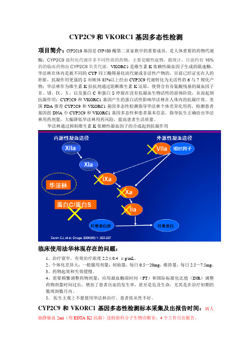 CYP2C9和VKORC1基因多态性检测