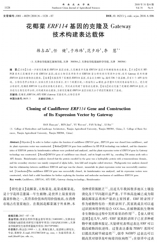 花椰菜ERF114基因的克隆及Gateway技术构建表达载体