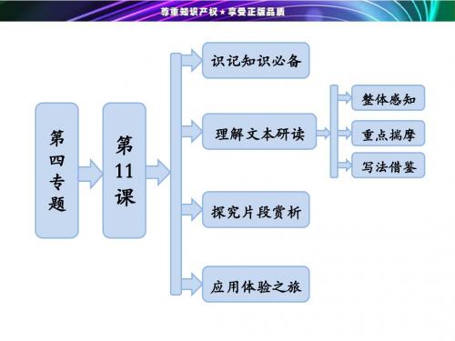 2013-2014学年高二语文苏教版选修《现代散文选读》课件：第4专题  第11课 云南冬天的树林