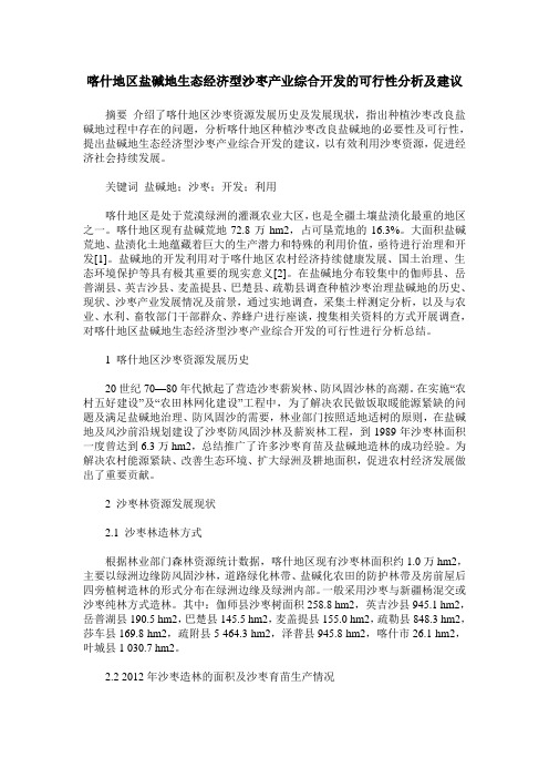 喀什地区盐碱地生态经济型沙枣产业综合开发的可行性分析及建议