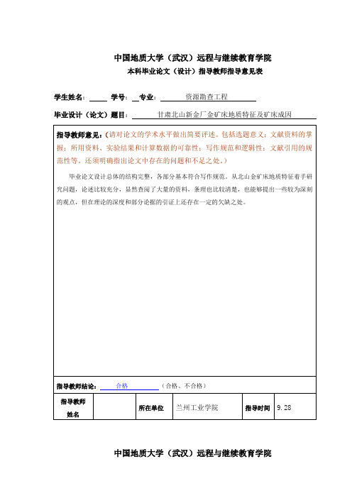 甘肃北山新金厂金矿床地质特征及矿床成因