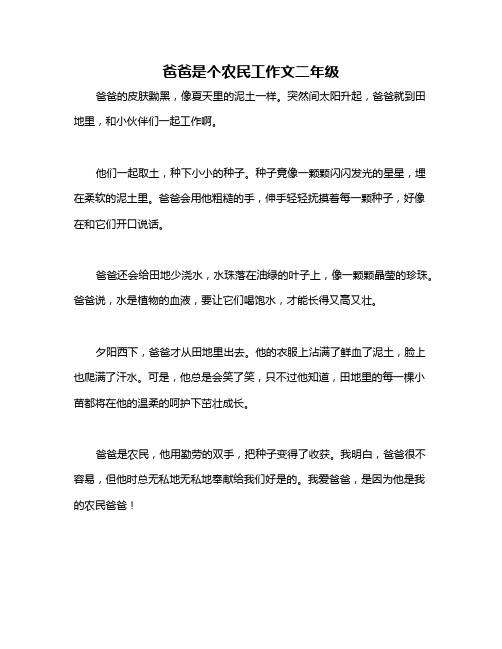 爸爸是个农民工作文二年级