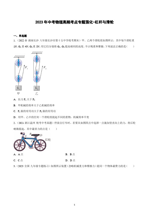 2023年中考物理高频考点专题强化-杠杆与滑轮