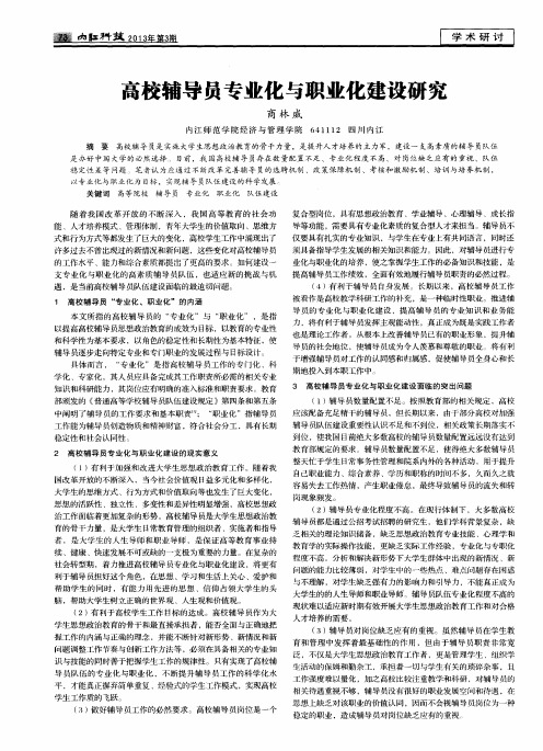 高校辅导员专业化与职业化建设研究