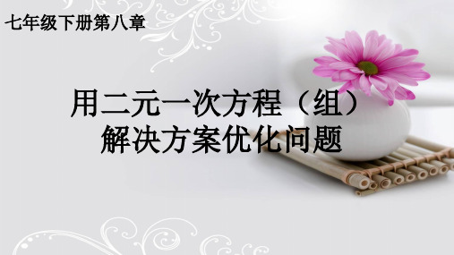 人教版数学七下 用二元一次方程(组)解决方案优化问题 课件