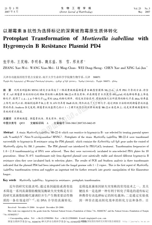 以潮霉素B抗性为选择标记的深黄被孢霉原生质体转化