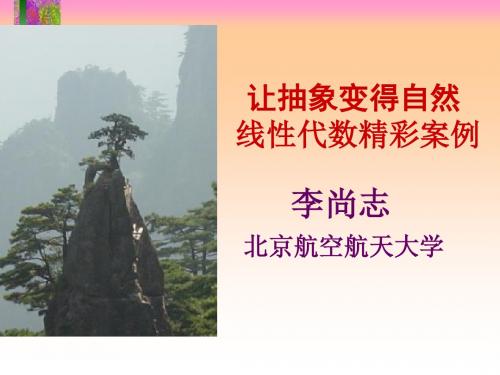 数学试验之五迭代---分形与混沌-厦门大学高等代数