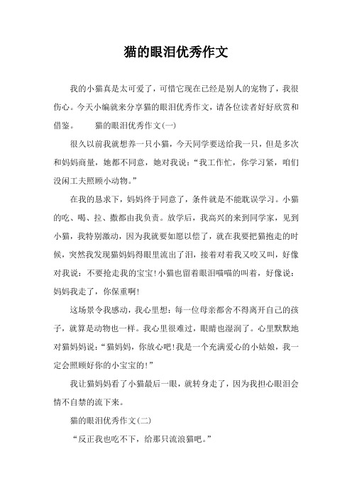 猫的眼泪优秀作文