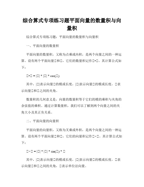 综合算式专项练习题平面向量的数量积与向量积