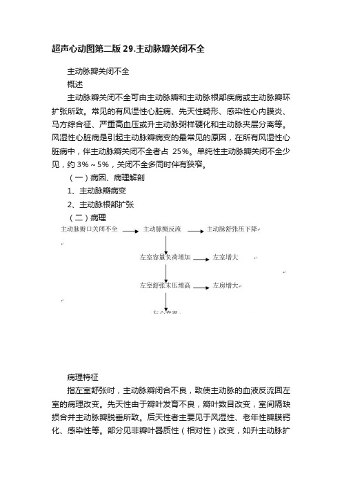 超声心动图第二版29.主动脉瓣关闭不全