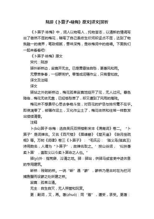 陆游《卜算子·咏梅》原文译文赏析