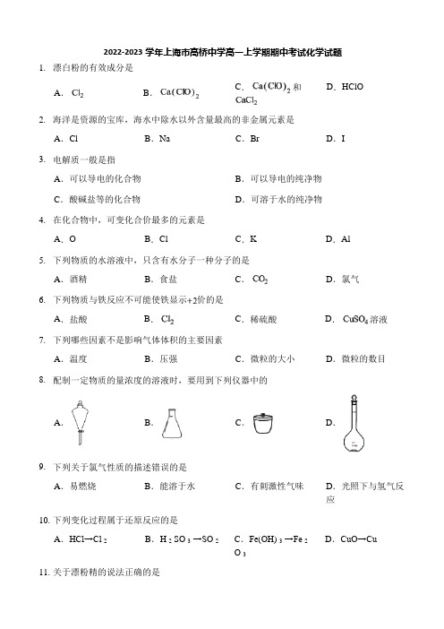 2022-2023学年上海市高桥中学高一上学期期中考试化学试题