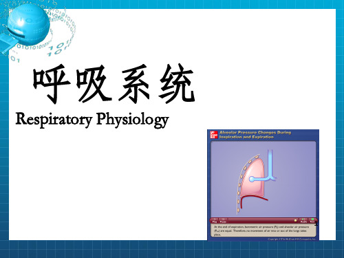 《呼吸系统生理》PPT课件