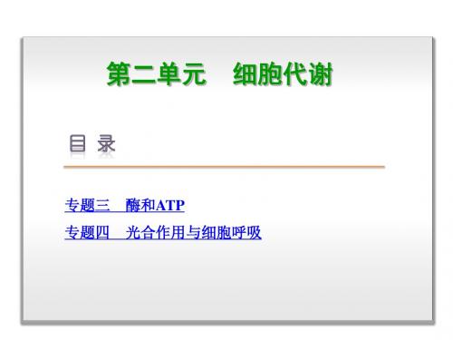 2019届高考生物二轮专题复习课件：第2单元 细胞代谢 (共172张PPT)