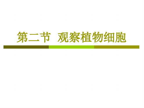 人教版七年级生物上册观察植物细胞课件