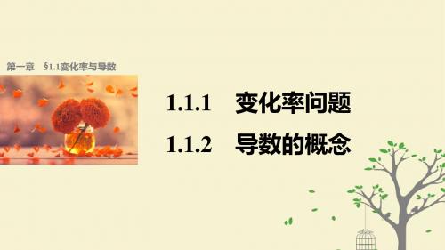 高中数学第一章导数及其应用1.1.1变化率问题1.1.2导数的概念课件新人教A版选修2_2