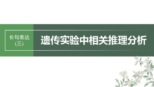 2024届高考一轮复习生物课件(新教材人教版苏冀)：遗传实验中相关推理分析