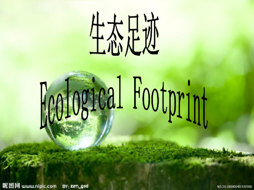 生态足迹(英文：Ecological footprint,EF)