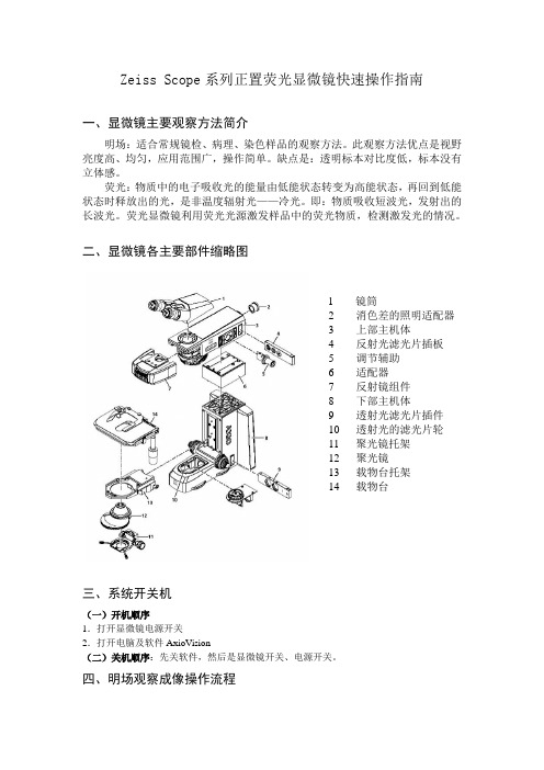 Zeiss Scope系列正置荧光显微镜快速操作指南 2