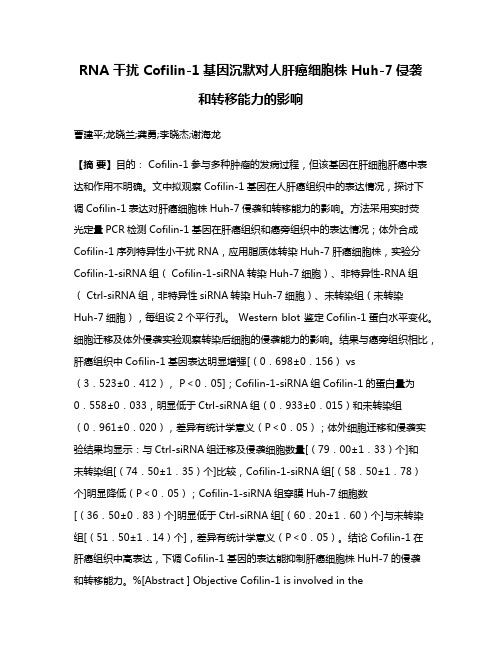 RNA 干扰 Cofilin-1基因沉默对人肝癌细胞株 Huh-7侵袭和转移能力的影响