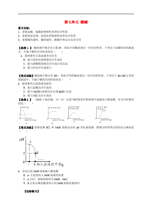 山东省肥城市湖屯镇初级中学九年级化学全册 第七单元