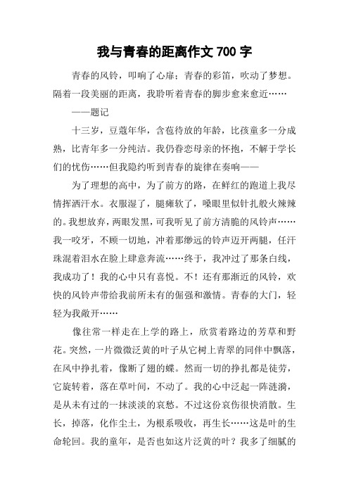 我与青春的距离作文700字