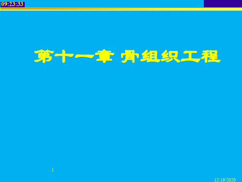 生物材料 第10章 骨组织工程