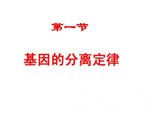 基因的分离定律