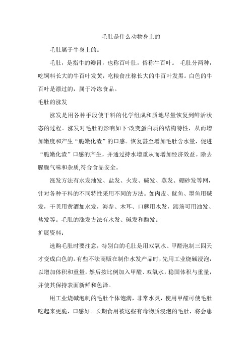 毛肚是什么动物身上的