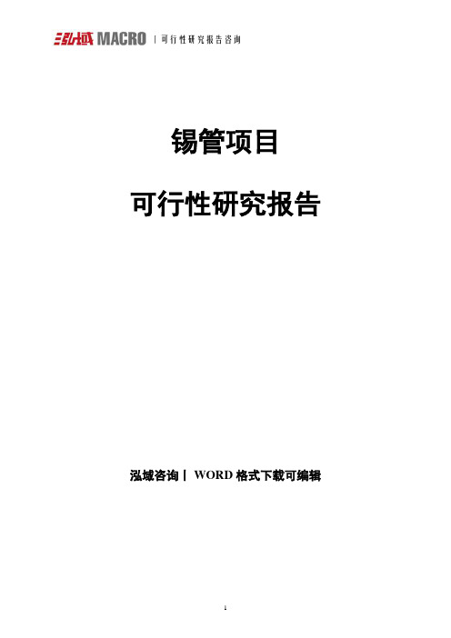 锡管可行性研究报告