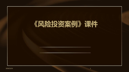 2024年度《风险投资案例》课件