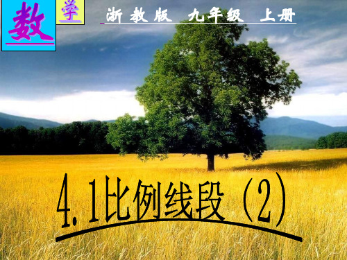 浙教版九年级数学上册教学课件-4.1比例线段2 (共14张PPT)