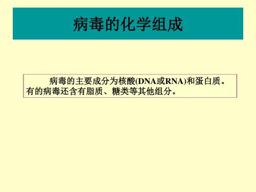 病毒的化学组成-PPT文档资料